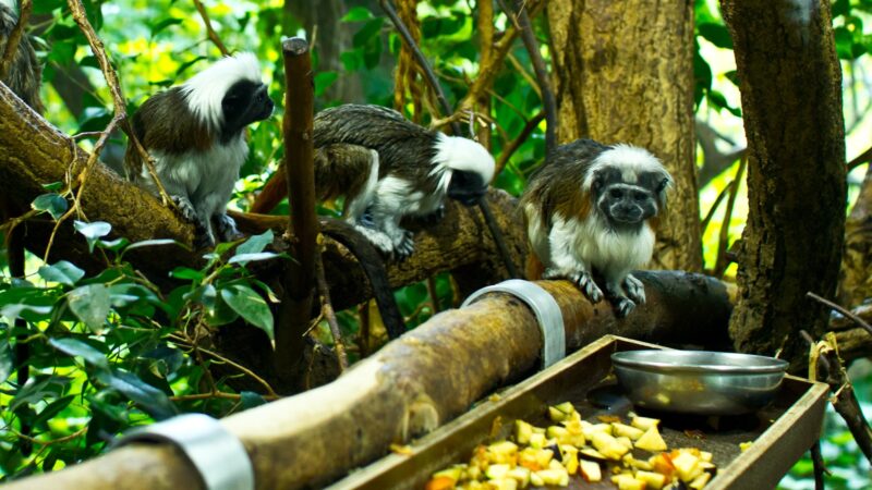 Zoo München